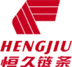 Zhejiang Hengjiu a vu Chain Co., Ltd.